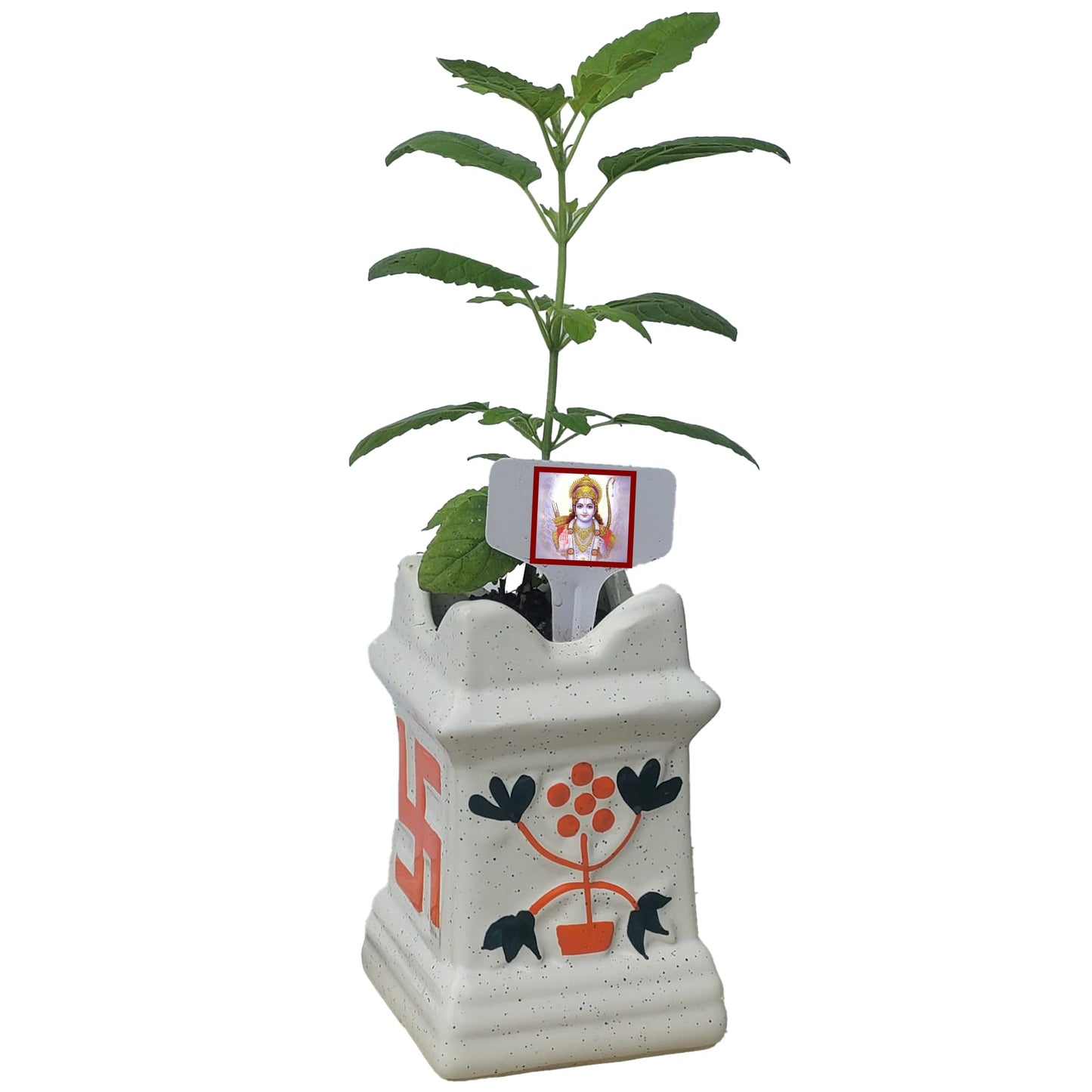TULSI-Parent