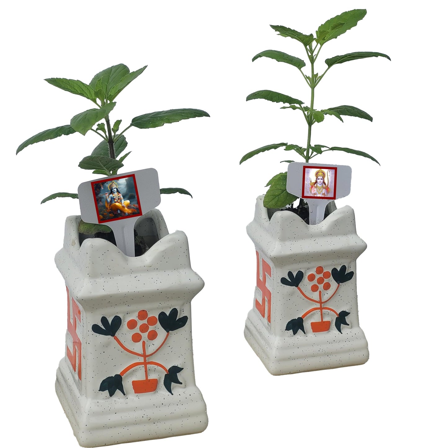 TULSI-Parent