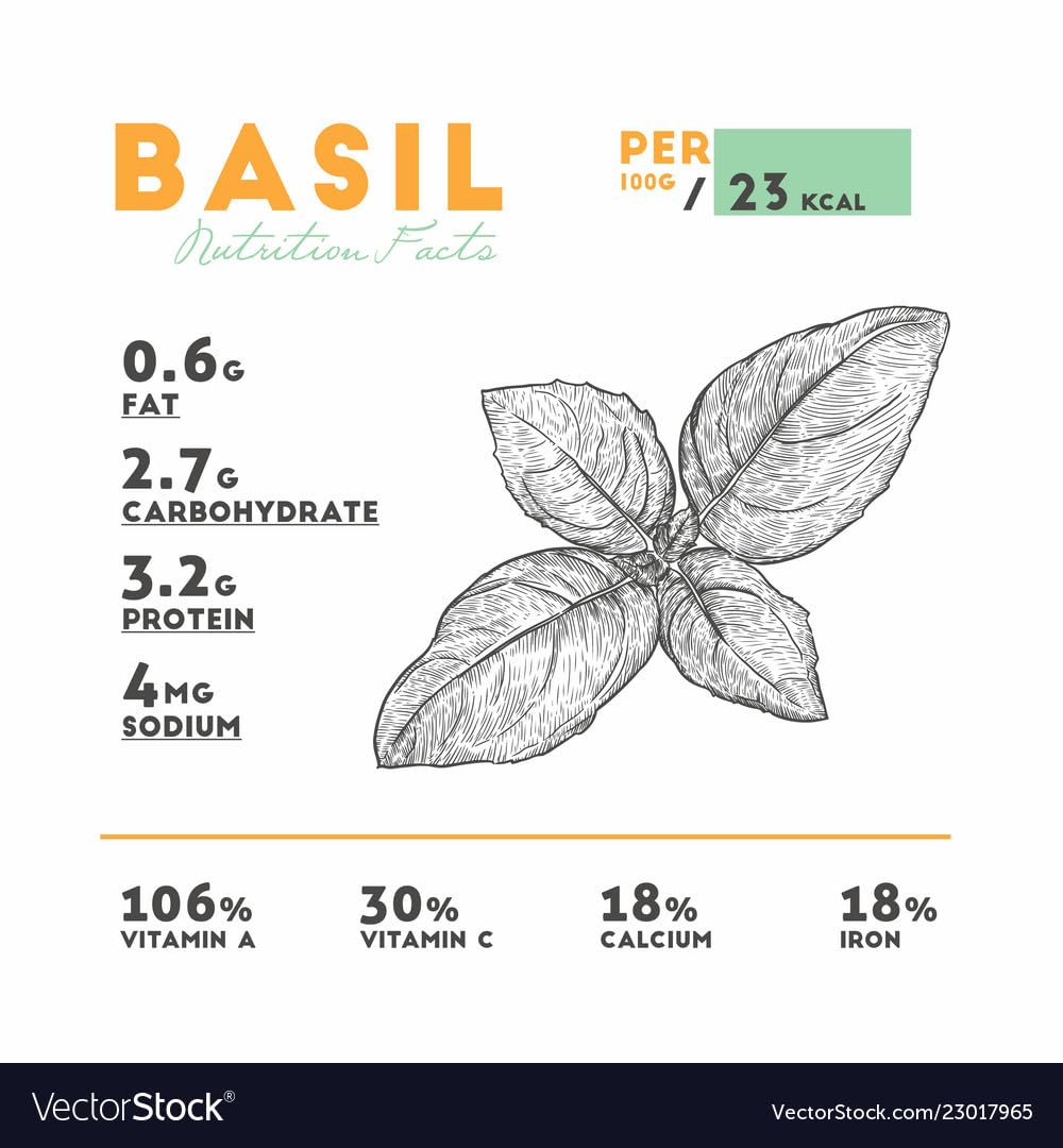 Basil-Parent